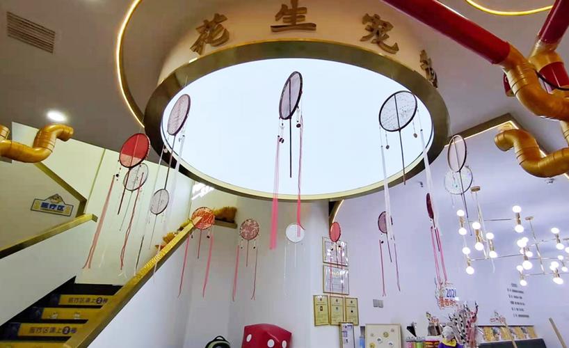 宠物店营销利器 文化赋能的郑州美陈设计施工新篇章