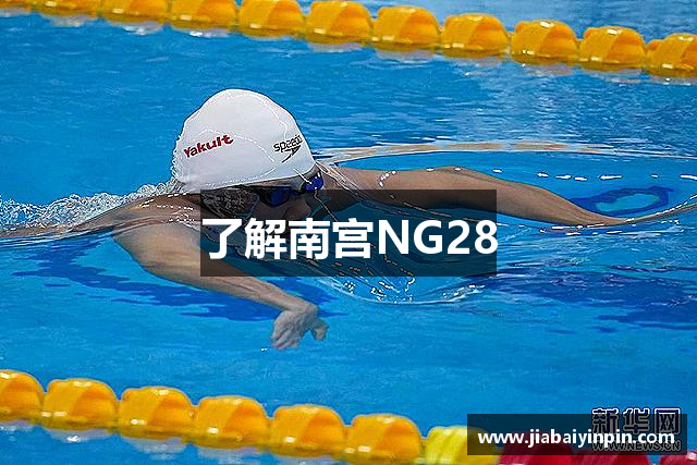 了解南宫NG28